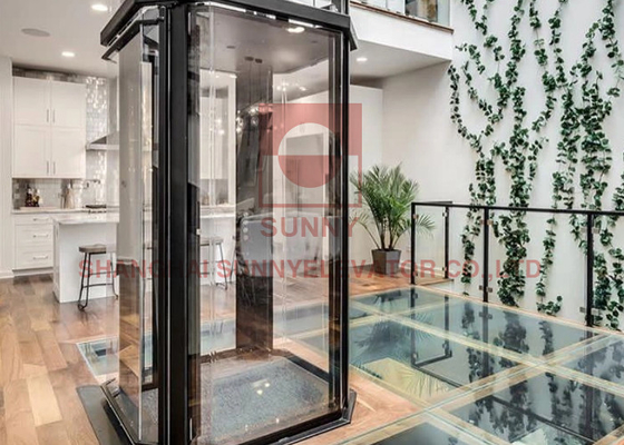 elevador hidráulico do elevador da casa pequena exterior do vertical 400kg para a casa