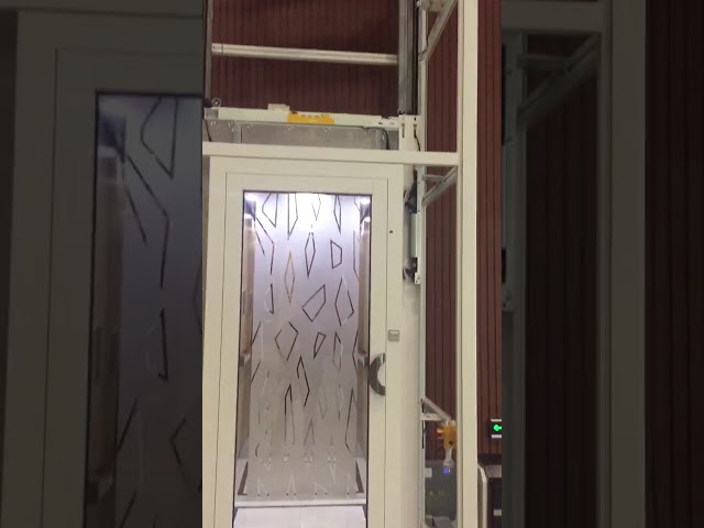 320 - 400 kg VVVF Tecnologia de accionamento Elevadores domésticos ventilados com rede de protecção