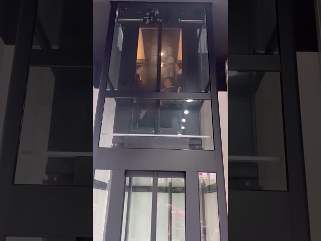 Assoalhos de aço inoxidável do elevador 2 - 4 do elevador da casa do elevador de 304 passageiro