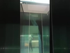 Passageiros Ascensores de villas pessoais 3o andar Ascensores interiores externos