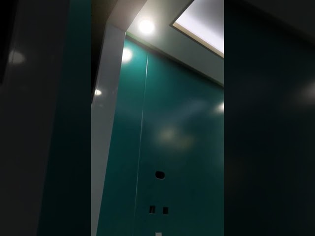 Uso comercial do elevador de alta velocidade ensolarado do passageiro do MRL do elevador do elevador